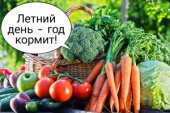 Познавательный альманах «Летний день год кормит»