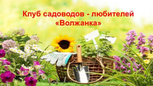 Заседание клуба «Волжанка»